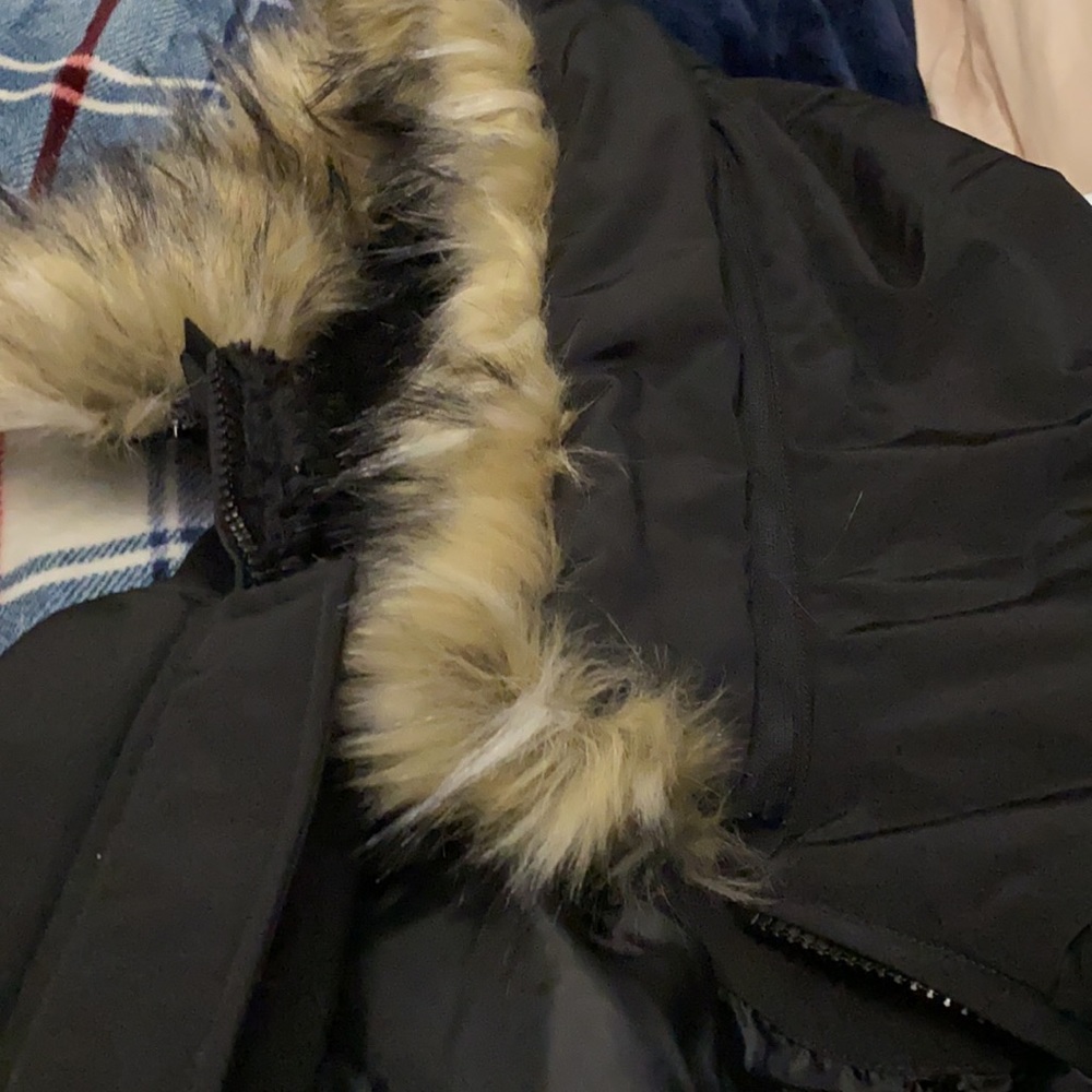 Jacket - Picture 6 of 9